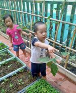 Bạn ơi! Chỗ kia có 1 quả kìa!