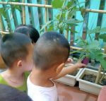 Chúng mình cùng cảm nhận xem vỏ nó nhẵn hay sần sùi nhé!