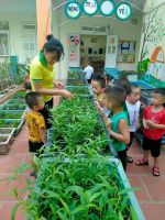 Cùng nhổ cỏ với cô nào!