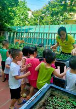 Chúng mình bắt sâu cho cây nhé!