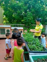 Quan sát cô hướng dẫn cách nhổ cỏ.