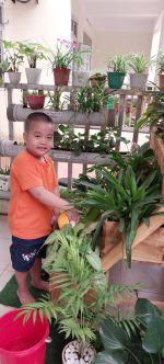 Mọi người thấy con chăm sóc cây thích không ạ