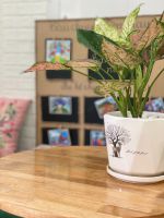 Z3771169471090 6076eabb15ef1a9f93e5e51327420747