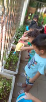 Cùng chăm sóc cây nào