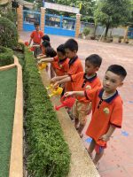 Chúng con tưới nước cho cây