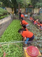 Xem con chăm sóc vườn rau ạ