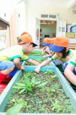 Chúng con nhặt cỏ cho rau phát triển đấy ạ!