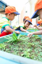 Chúng con nhặt cỏ cho rau phát triển đấy ạ!