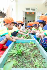 Chúng con nhặt cỏ cho rau phát triển đấy ạ!