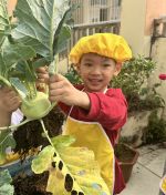 Z5221657874069 F32b07a1bd8d1ffd2982ab36ca557212