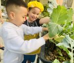 Z5221657966860 A8da8ea3cf47fe3b115f6e32d50fd87b