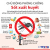 Chủ động phòng chống Sốt xuất huyết