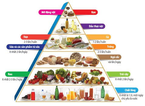 TÌM HIỂU VỀ THÁP DINH DƯỠNG