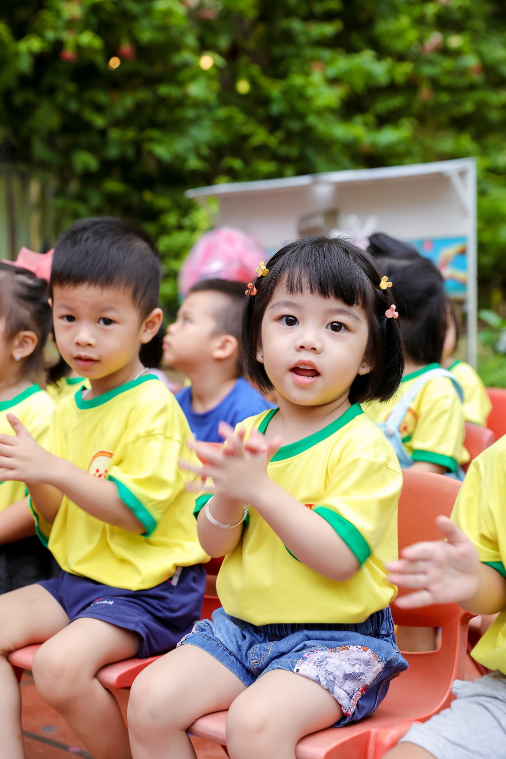 774aa450973e53600a2f