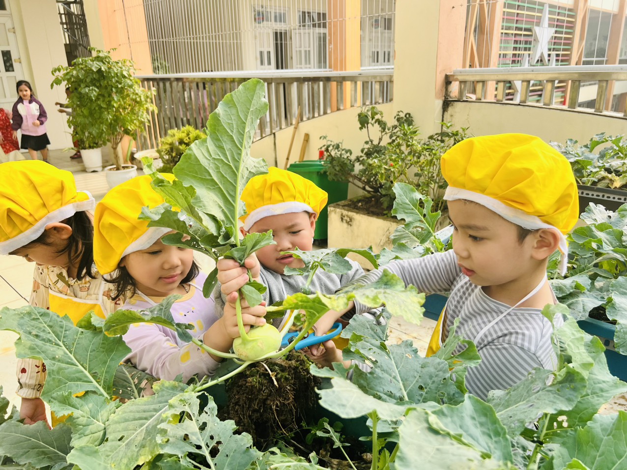 Thu hoạch nông sản