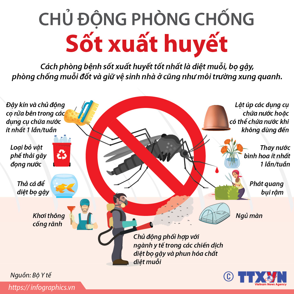 Chủ động phòng chống Sốt xuất huyết